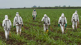 Farmers spraying herbicide